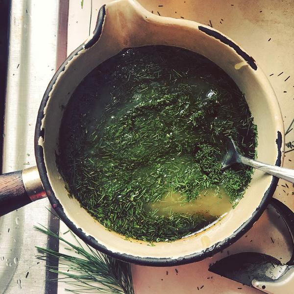 pine needle honey