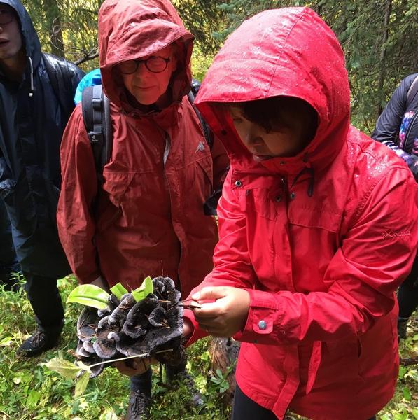 Mushroom field trip