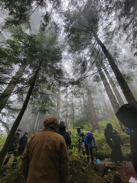 Foraging trip photo by Jess of wanderful vancouver