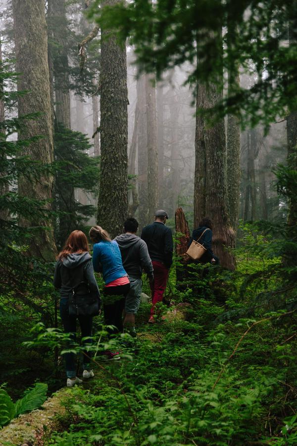forest