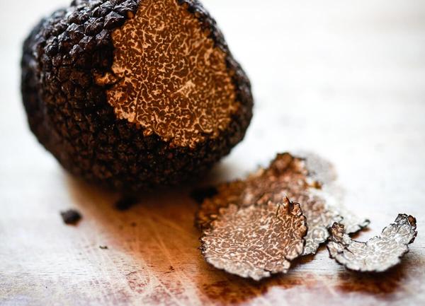 Wild Black Truffle