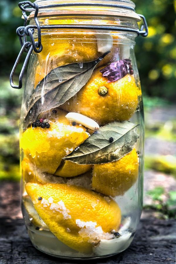 preserved lemons