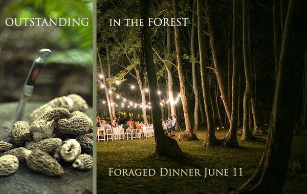 Outstanding in the Forest Dinner