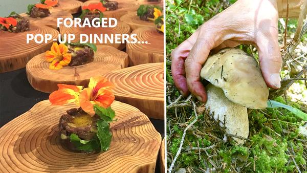FORAGED DINING POP-UPS