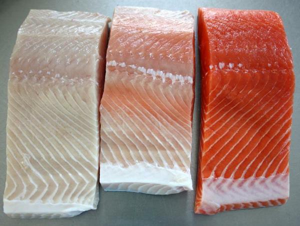 Ivory Salmon comparison