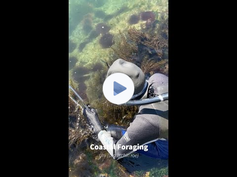 How to harvest sea urchin roe (uni) with Chef Robin Kort
