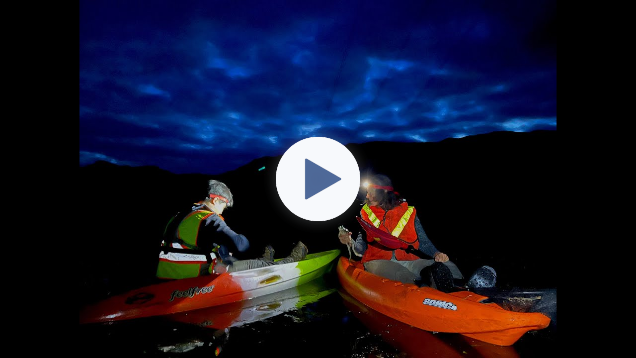 How to harvest delicious + invasive bullfrogs with Chef Robin Kort