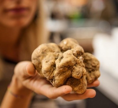 white truffle