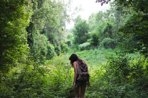 FORAGING IN THE FOREST