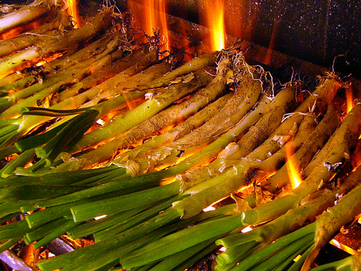 calcots: leeks