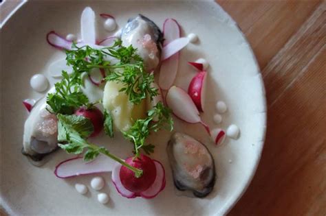 halibut
