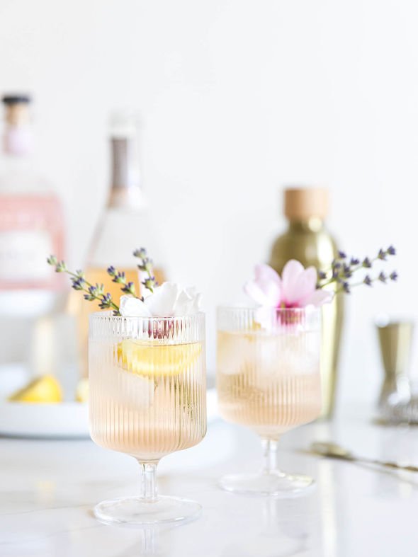 Gin Fizz