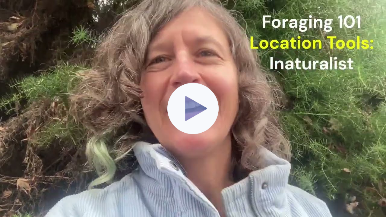 Foraging 101 - Tools for finding wild foods with Chef Robin Kort
