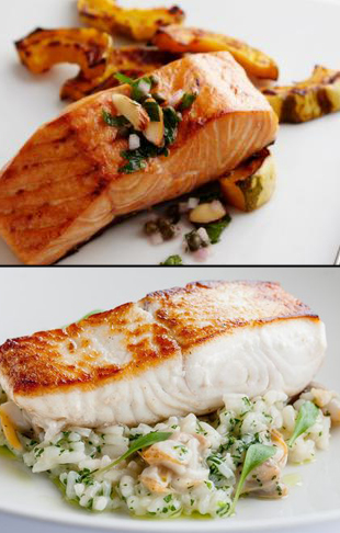 halibut vs salmon feast