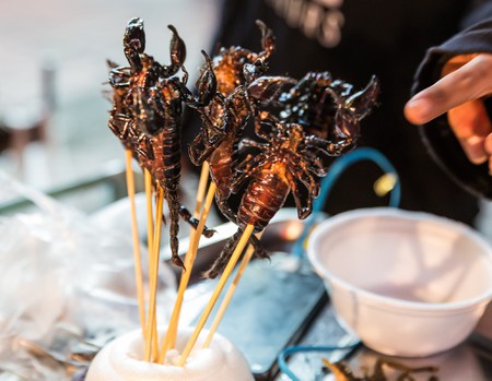 scorpion snack