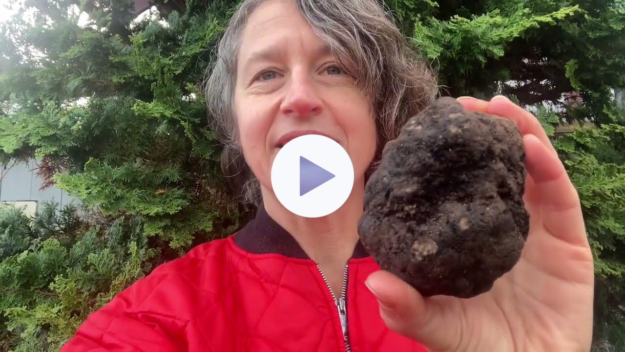 Learning about BC black truffles / Oregon ￼black truffles with Chef Robin