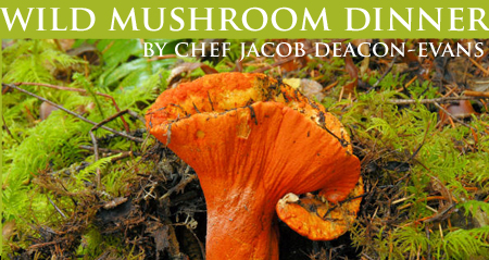 Lobster mushroom