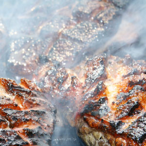 moose skewers 