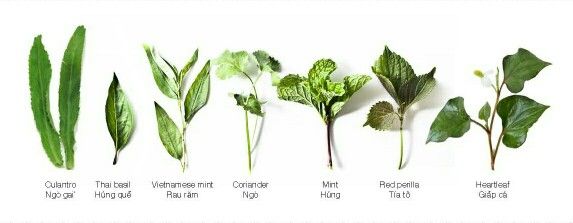 Vietnamese herbs