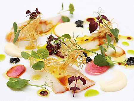 medai crudo