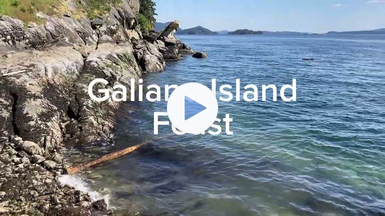 Galiano Island Pop up Dinner