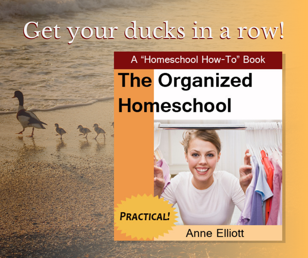 Organized Homeschool
