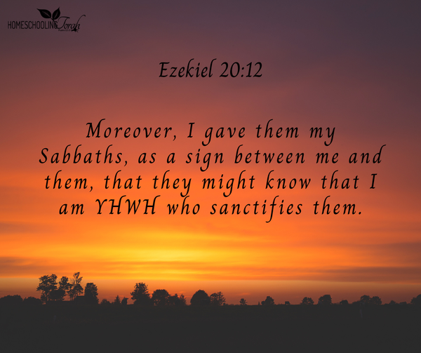 Moreover, I gave them my Sabbaths, as a sign between me and them, that they might know that I am YHWH who sanctifies them. Ezekiel 20:12, KJV