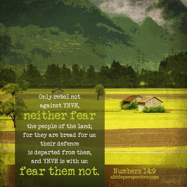 Numbers 14:9