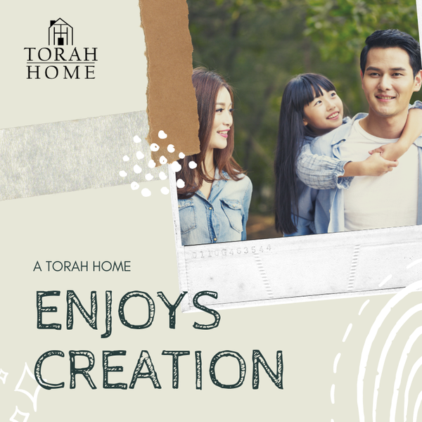 A Home That Enjoys Creation