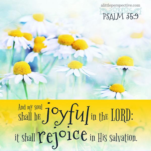 Psalm 35:9