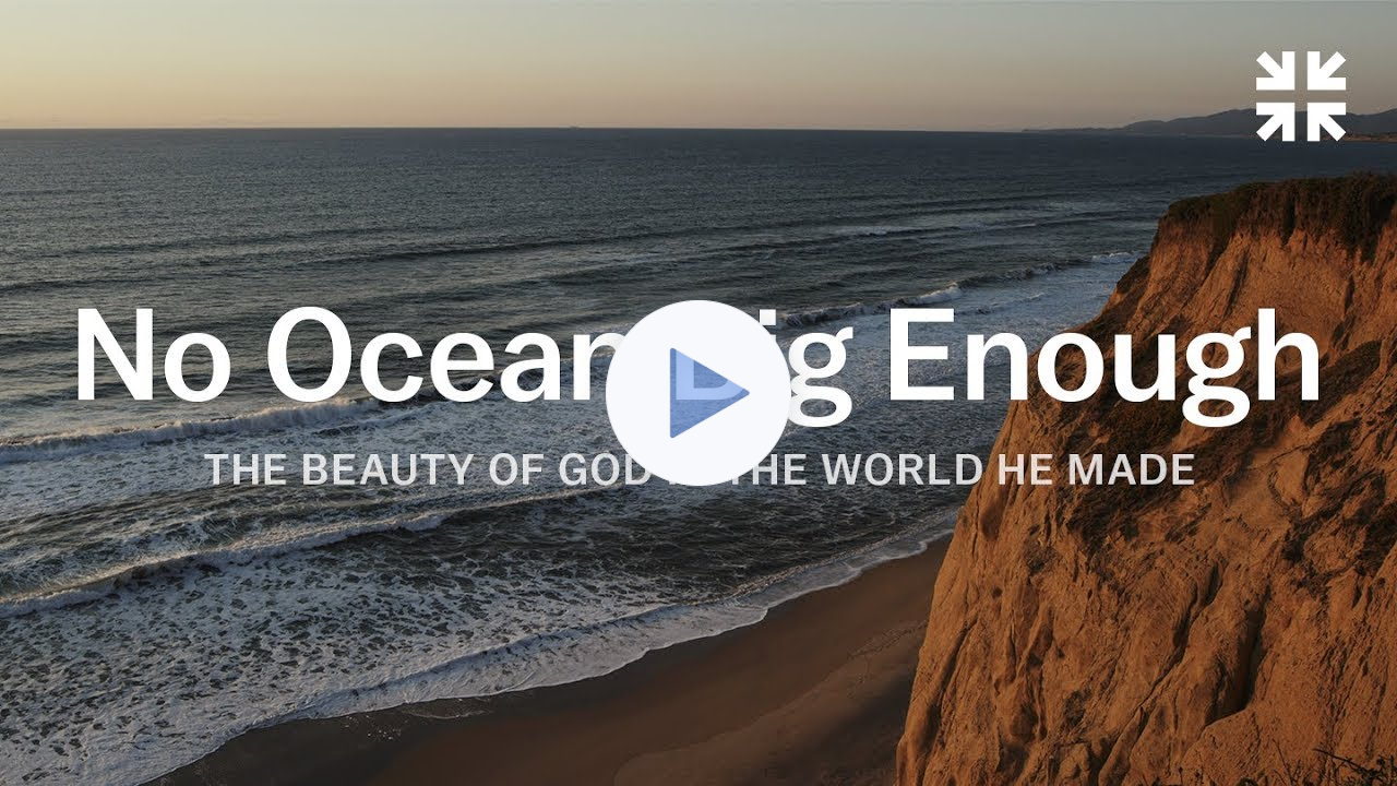 No Ocean Big Enough: The Beauty of God in the World He Made - John Piper