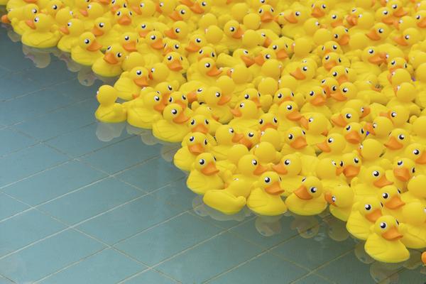 Emerson quote about kindness and rubber duck April 1 fun