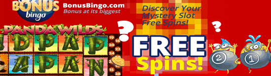 Bonus Bingo