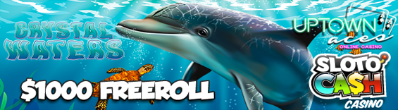 August 1K Summer Refreshment