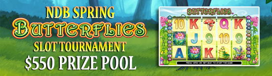 NDB Spring Butterflies