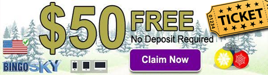 Bingo Sky