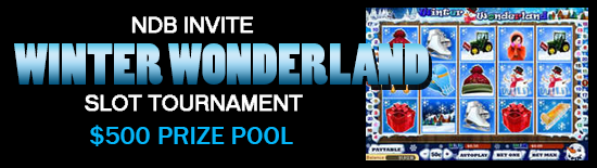 Winter Wonderland Tournament