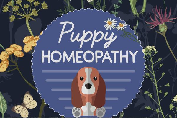 Giveaway - Like, Follow, & Share to win