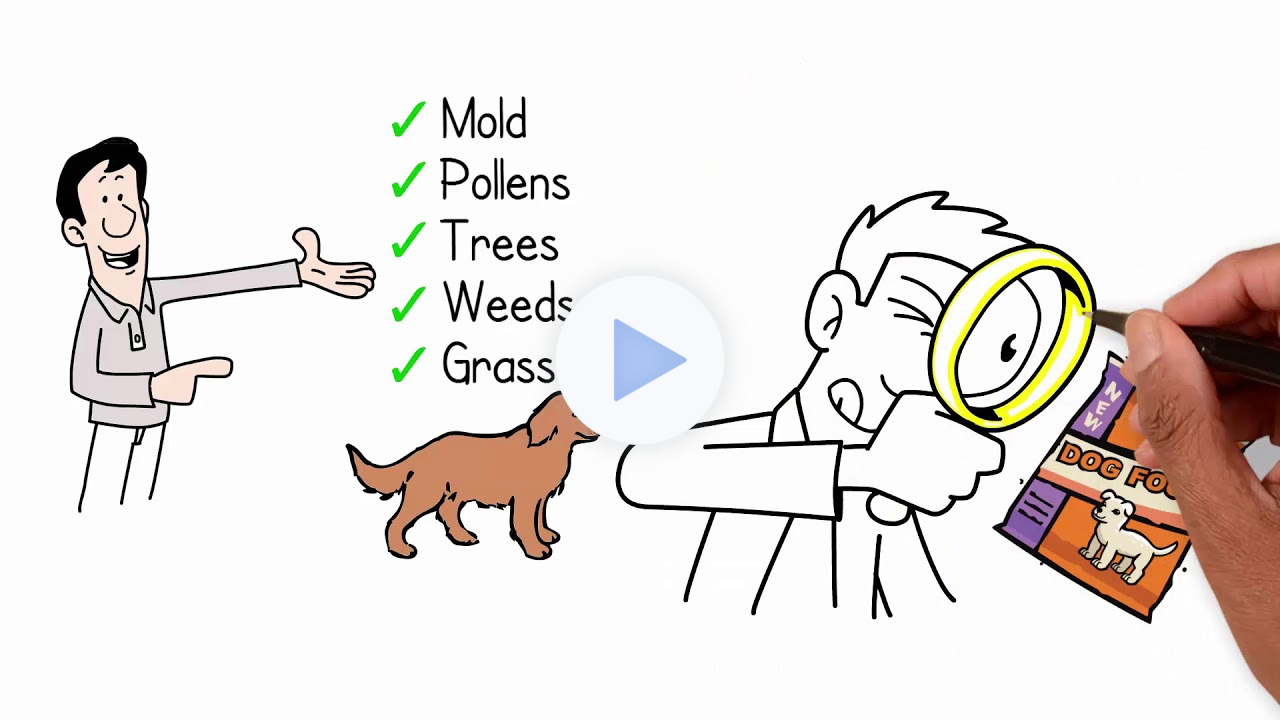 Allergy Elimination 4 Pets