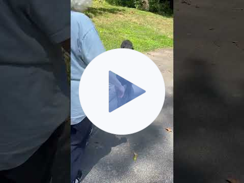 Remy after Rx with VSEL