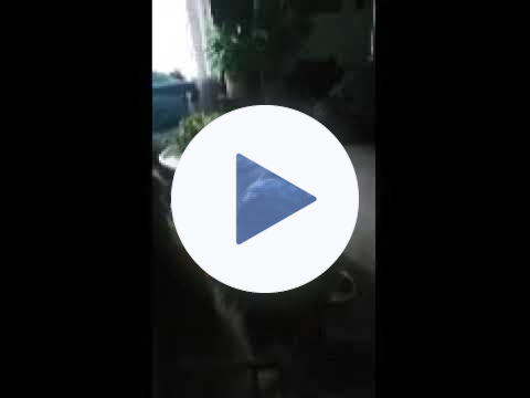 JAZPER STANDING AND WALKING ON HIS OWN