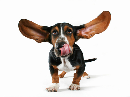 AWeber Communications