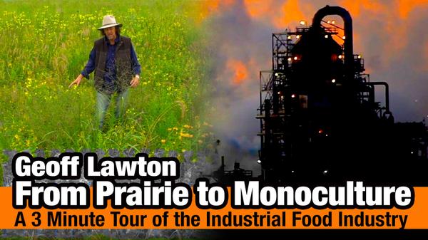 From Prairie to Monoculture