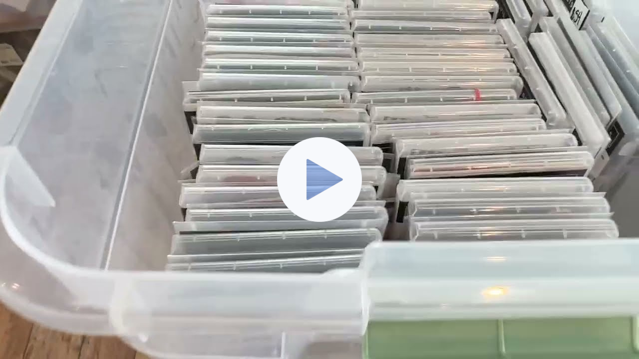 Pink Buckaroo Online BOGO 2023