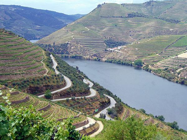 Douro River Valley in Portugal