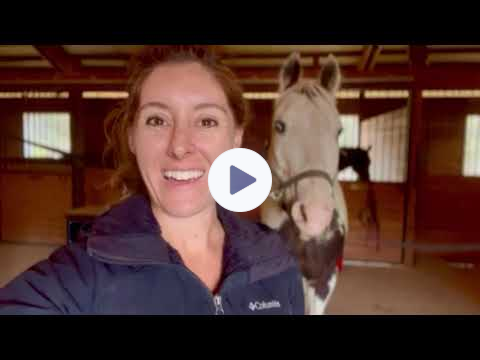 ChiroSimple Animal Chiropractic EHR Testimonial Dr. Bri