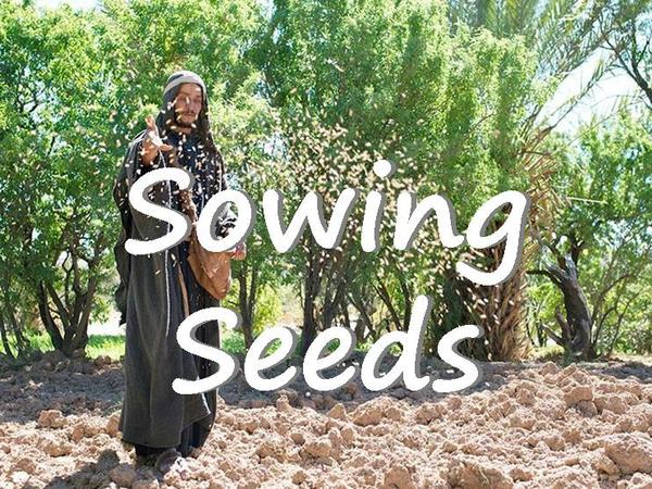 A farmer sowing seeds