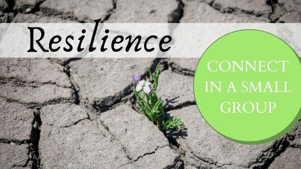 Resilience small group graphic