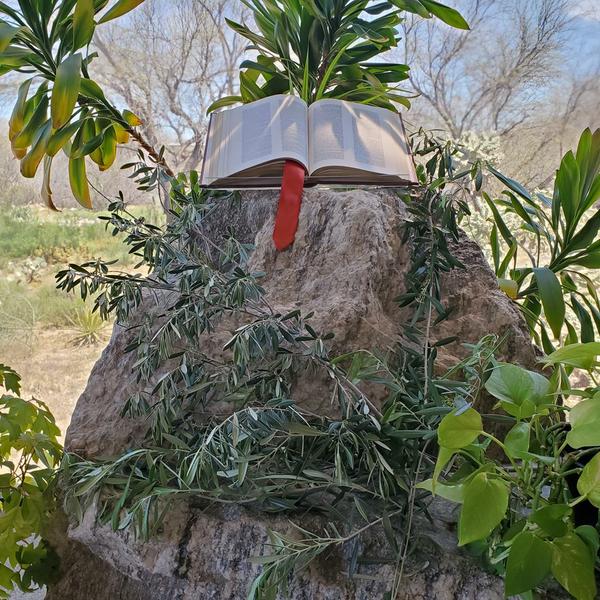 The Word on the rock altar on Palm Sunday 2020