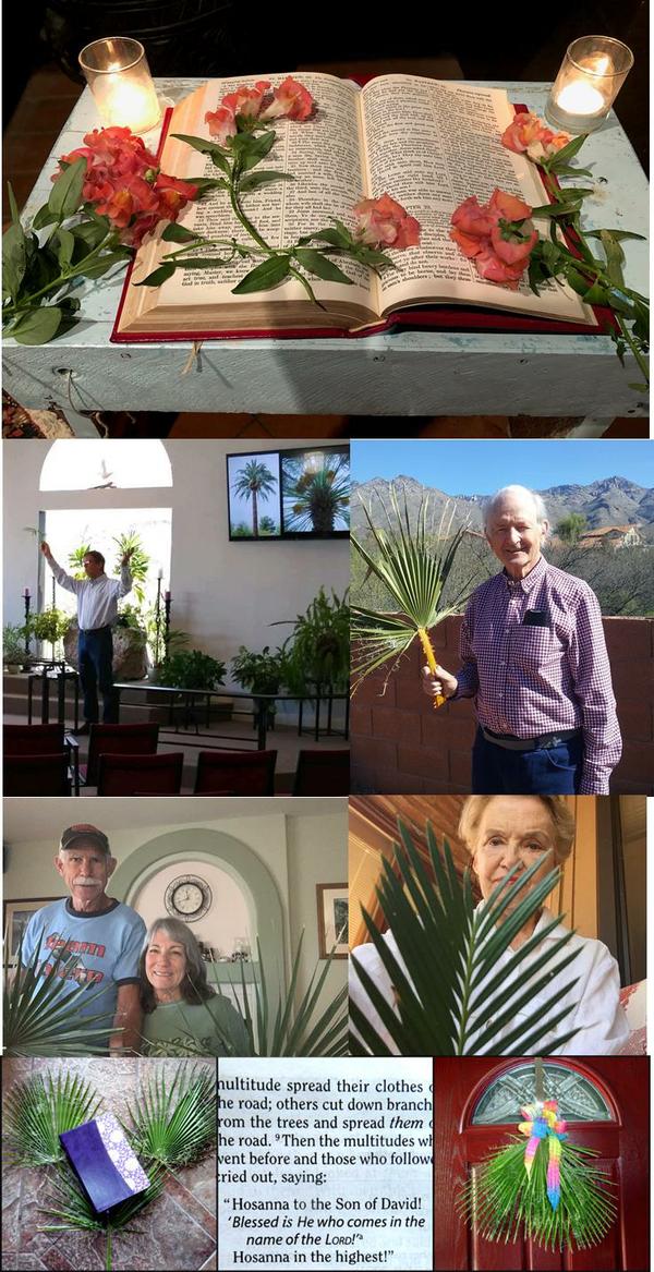 Palm Sunday collage
